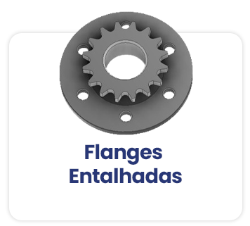 Flanges Entalhadas
